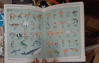 Il Mio Primo Dizionario Di Inglese Illustrato