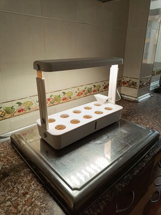 Hidroponia con luz LED - Cultivo interior