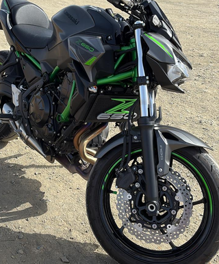 Logo Z650 Verde y Gris