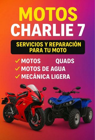 Mecánico de Motos y Quad