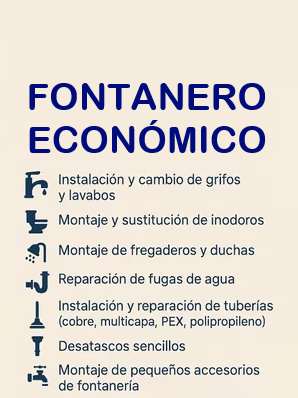 FONTANERO ECONÓMICO / PRESUPUESTO SIN COMPROMISO