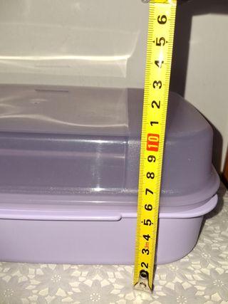 Contenitore Tupperware viola