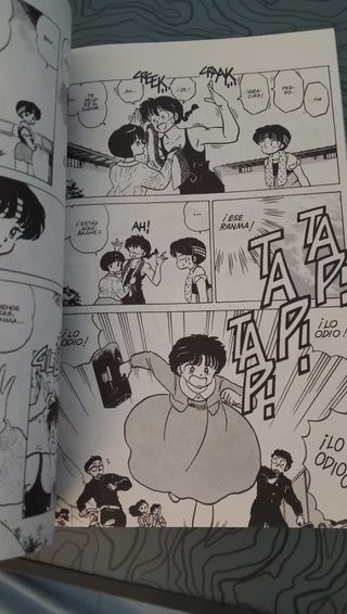 Ranma 1/2, 7° parte número 13 manga