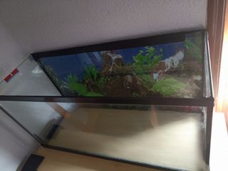 Acuario 100L -pecera-
