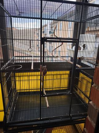 Jaula pajaros grande negra