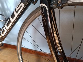 Bicicleta Carretera Focus
