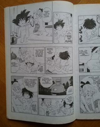 Dragon Ball n°2 (serie blanca) 1992