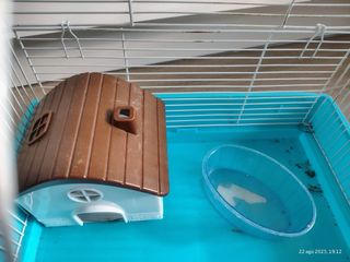 Jaula hamster