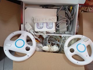 Wii blanca + accesorios