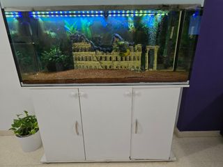 Acuario 240l con mueble
