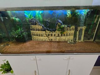 Acuario 240l con mueble