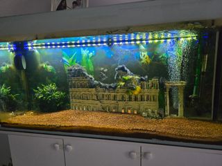 Acuario 240l con mueble