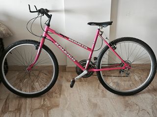 Bicicleta Raleigh Manta para ciudad o carretera 