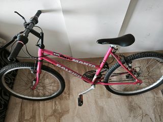 Bicicleta Raleigh Manta para ciudad o carretera 