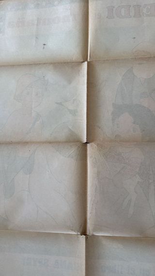 Pack dos Posters Originales Heidi en la Montaña