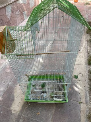 Gàbia ocells 