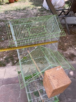 Gàbia ocells 
