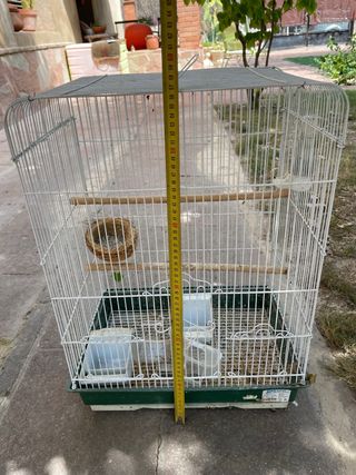Gàbia ocells - 