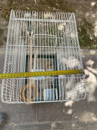 Gàbia ocells - 
