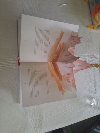 LIBRO EL PRINCIPITO