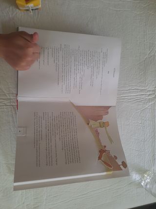 LIBRO EL PRINCIPITO