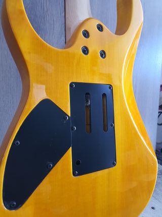  Ibanez RG320FM