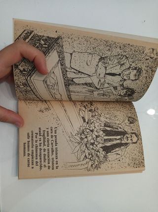 Libro Las cenizas de Laura