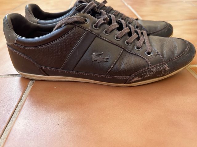Zapatillas Lacoste Marrón