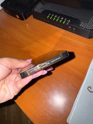 iPhone 13 Pro Max Oro