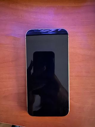 iPhone 13 Pro Max Oro