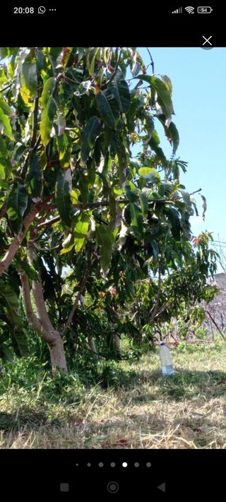 Terreno urbano - 80.000€