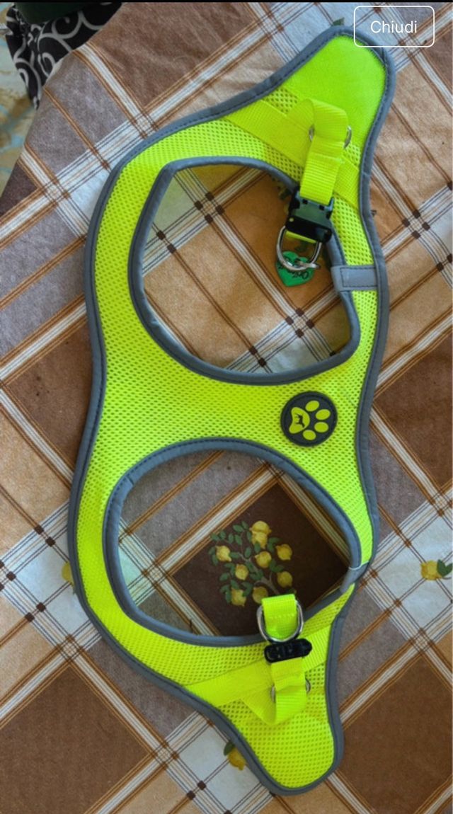 Pettorina cane gialla e grigia