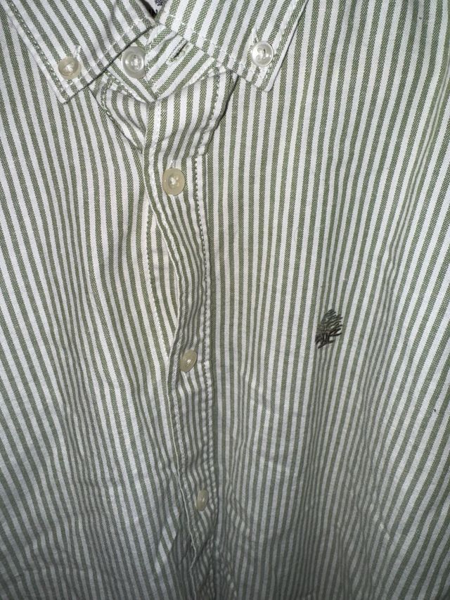 Camisa Springfield rayas verdes M