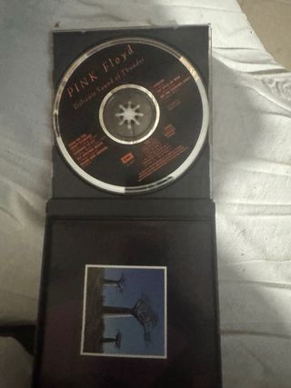 Pink Floyd - Delicate Sound of Thunder CD