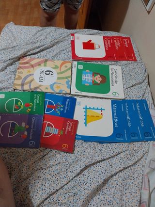 Libros de 6° de primaria