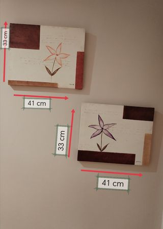 2 Cuadros - Flores - 41x33cm