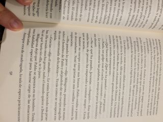 La rebelión de los buenos: Premio de Novela Fer...