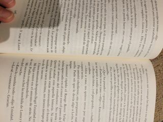 La rebelión de los buenos: Premio de Novela Fer...