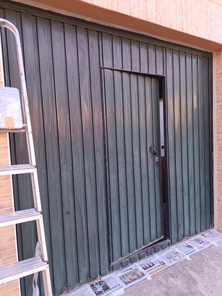 Pintor profesional  económico