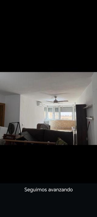 Pintor profesional  económico