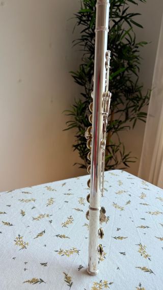 Flauta travesera plata