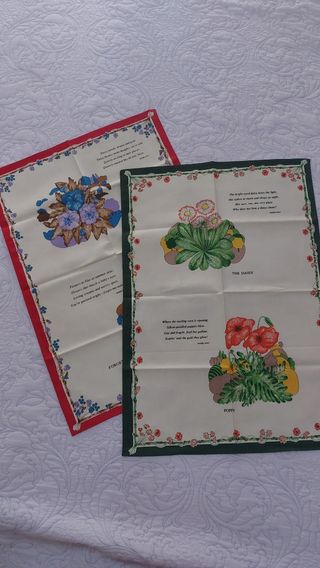 Strofinacci da cucina cm 48x67