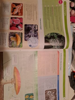 BIOLOXIA E XEOLOXIA 1 ESO CONTRUINDO MUNDOS