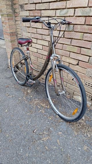 Bicicleta Specialized paseo