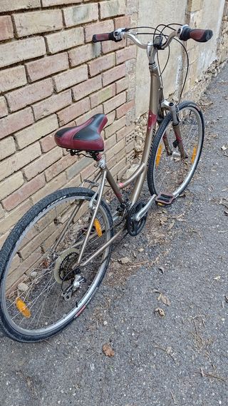 Bicicleta Specialized paseo