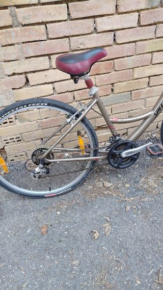 Bicicleta Specialized paseo