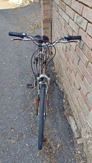 Bicicleta Specialized paseo