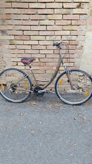 Bicicleta Specialized paseo