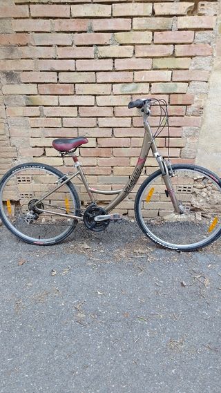 Bicicleta Specialized paseo