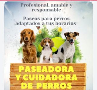 Paseo de perros, Taxi de mascotas
